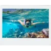 Snorkeling in Roatan tour