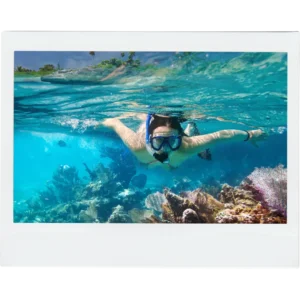 Snorkeling in Roatan tour