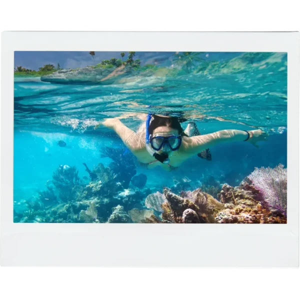 Snorkeling in Roatan tour