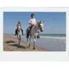 Horses back riding on the beach Roatan