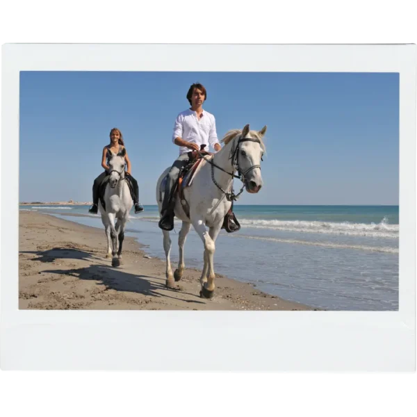 Horses back riding on the beach Roatan