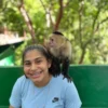 Monkey & Sloth Park