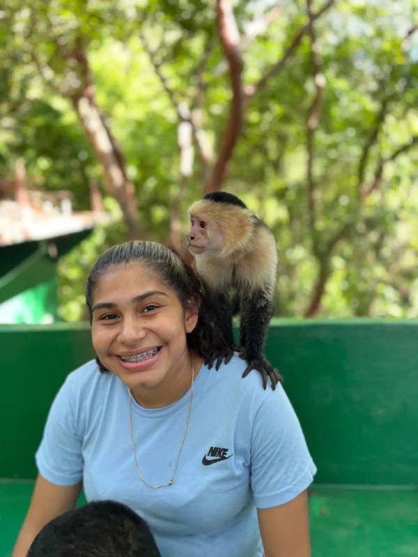 Monkey & Sloth Park